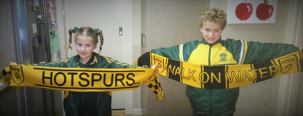 Hotspurs Scarves